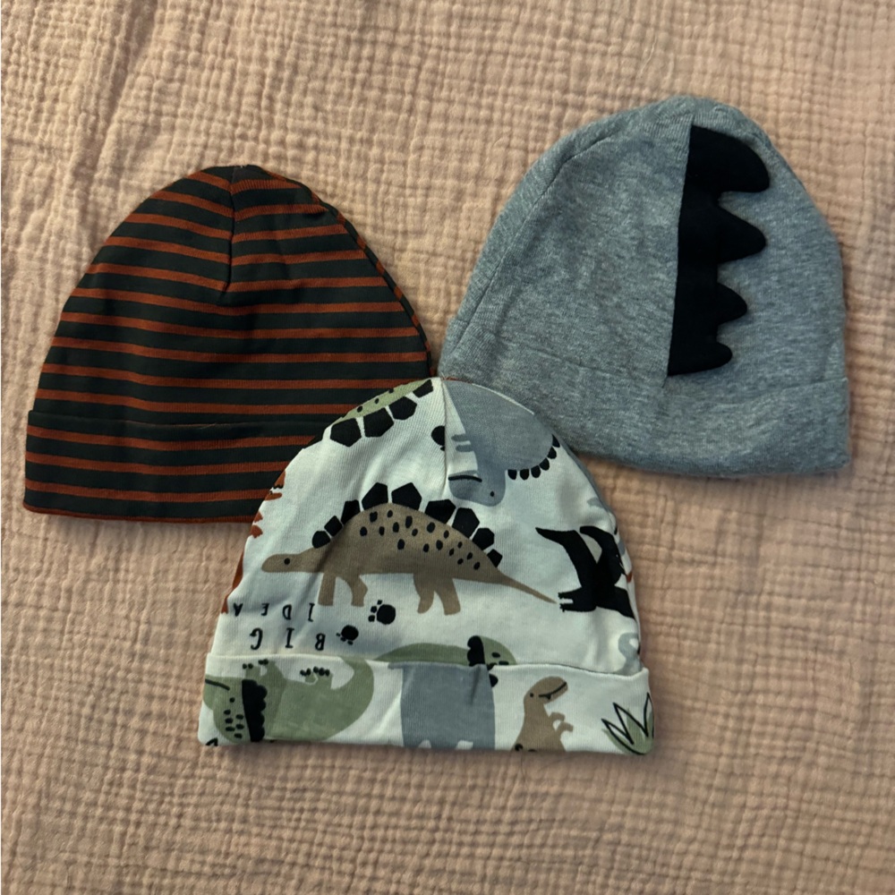 Dinosaur and Striped Kids Beanie Set